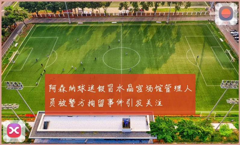 阿森纳球迷假冒水晶宫场馆管理人员被警方拘留事件引发关注