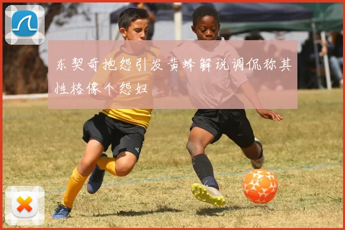 东契奇抱怨引发黄蜂解说调侃称其性格像个怨妇