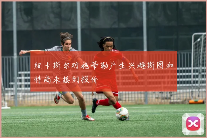 纽卡斯尔对施蒂勒产生兴趣斯图加特尚未接到报价