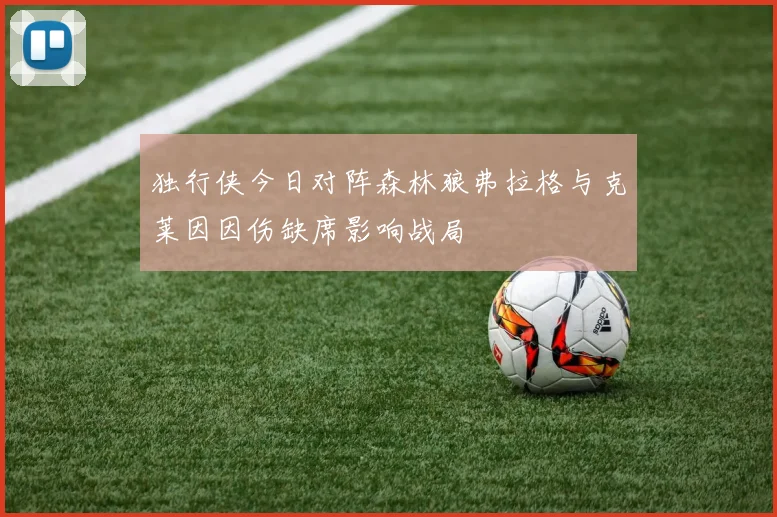 独行侠今日对阵森林狼弗拉格与克莱因因伤缺席影响战局