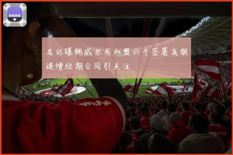 名记曝鲍威尔或加盟公牛签署高额递增短期合同引关注